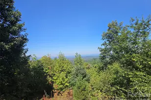 2650 Russell Gap Rd, Moravian Falls, NC 28654 - Photo 1