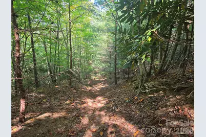 2650 Russell Gap Road, Moravian Falls, NC 28654 - Photo 3