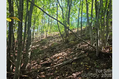 2650 Russell Gap Road, Moravian Falls, NC 28654 - Photo 25
