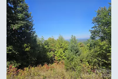 2650 Russell Gap Road, Moravian Falls, NC 28654 - Photo 7