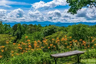 170 Twin Springs Rd, Hendersonville, NC 28792 - Photo 1