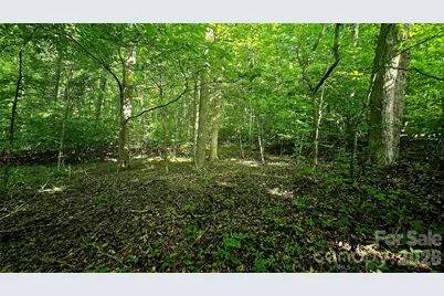 Lot 11 Elk Creek Mountain Parkway #11, Todd, NC 28684 - Photo 3