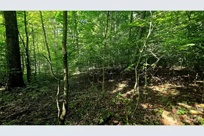 Lot 11 Elk Creek Mountain Parkway #11, Todd, NC 28684 - Photo 1