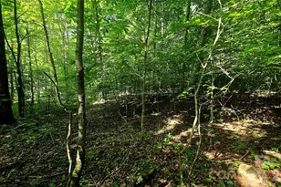 Lot 11 Elk Creek Mountain Pkwy, Todd, NC 28684 - Photo 1