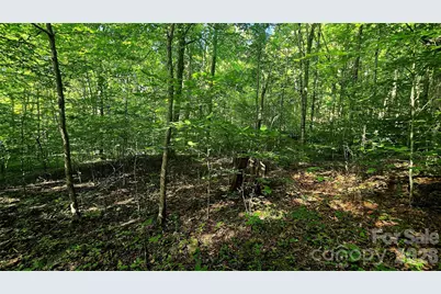 Lot 11 Elk Creek Mountain Parkway #11, Todd, NC 28684 - Photo 7