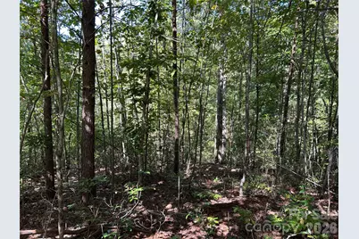 168 Robinwood Trail, Bostic, NC 28018 - Photo 7