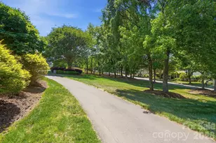 10329 Misty Moss Ct, Mint Hill, NC 28227 - Photo 39