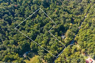 918 Long Branch Rd, Swannanoa, NC 28778 - Photo 43
