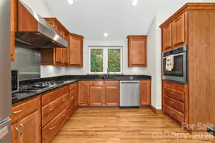 918 Long Branch Rd, Swannanoa, NC 28778 - Photo 7