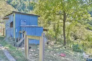 456 Morgan Branch Rd, Marshall, NC 28753 - Photo 29