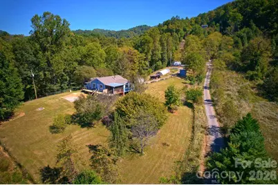 456 Morgan Branch Road, Marshall, NC 28753 - Photo 39