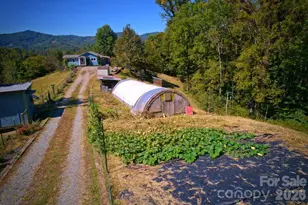 456 Morgan Branch Rd, Marshall, NC 28753 - Photo 37