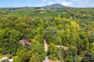 3285 Falcon Ridge Rd, Maiden, NC 28650 - Photo 3