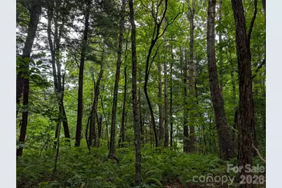 Lot 6 W Chestnut Ridges Road #6, Hendersonville, NC 28739 - Photo 11