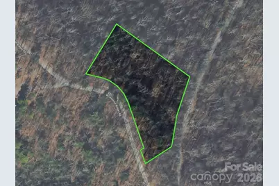 Lot 6 W Chestnut Ridges Road #6, Hendersonville, NC 28739 - Photo 1