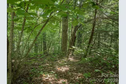 Lot 6 W Chestnut Ridges Road #6, Hendersonville, NC 28739 - Photo 13