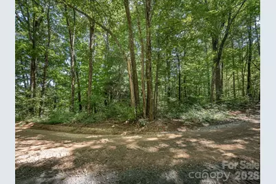 Lot 6 W Chestnut Ridges Road #6, Hendersonville, NC 28739 - Photo 9