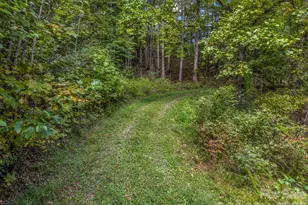 765 Hawk Ridge Ln, Marshall, NC 28753 - Photo 29