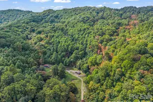 765 Hawk Ridge Ln, Marshall, NC 28753 - Photo 47