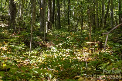 29 Wood Haven Lane, Black Mountain, NC 28711 - Photo 3