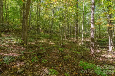 29 Wood Haven Lane, Black Mountain, NC 28711 - Photo 5