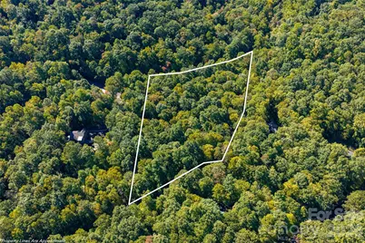 29 Wood Haven Lane, Black Mountain, NC 28711 - Photo 9