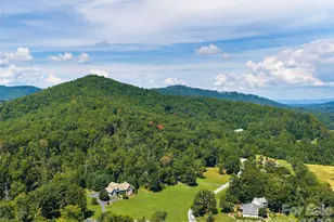 24 Mill Crest Dr, Mills River, NC 28759 - Photo 47