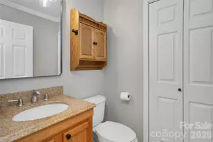 234 High Ridge Dr, Mills River, NC 28759 - Photo 19