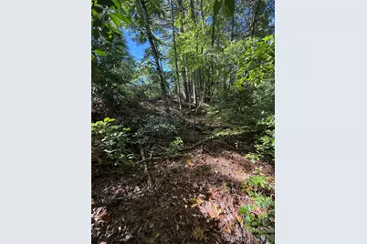 Tbd U24 Lot19 Tlugvi Court #19/24, Brevard, NC 28712 - Photo 5