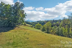 15 Temujin Dr, Leicester, NC 28748 - Photo 47