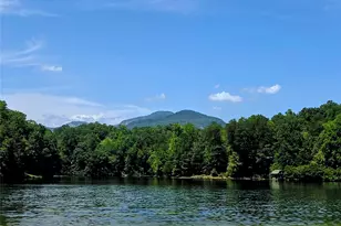 576 Pheasant St, Lake Lure, NC 28746 - Photo 47