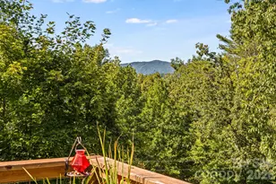 576 Pheasant St, Lake Lure, NC 28746 - Photo 23