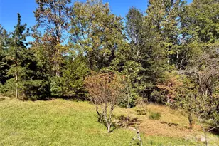110 Poteat Dr, Morganton, NC 28655 - Photo 11