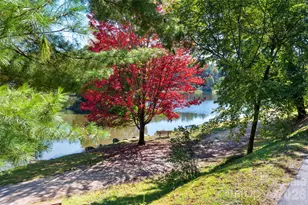 112 Rhododendron Ave, Black Mountain, NC 28711 - Photo 39