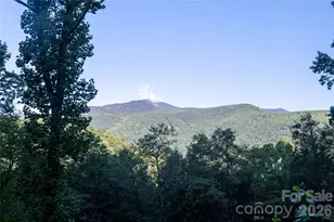 2099 S Toe River Rd, Burnsville, NC 28714 - Photo 5