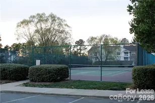 16242 Redstone Mountain Ln, Charlotte, NC 28277 - Photo 3