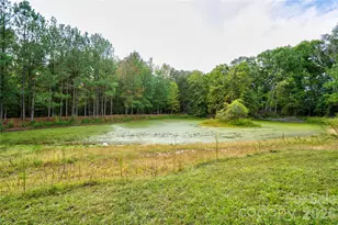 129 Church View Dr, Lawndale, NC 28090 - Photo 3