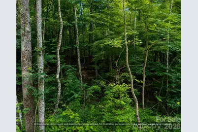 99999 Boone Gap Lane, Taylorsville, NC 28681 - Photo 13