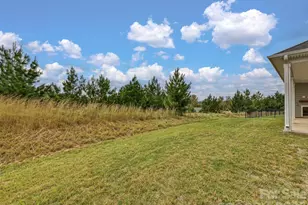 6136 Raven Rock Dr, Denver, NC 28037 - Photo 23