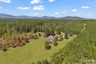 140 Blazing Star Ln, Mill Spring, NC 28756 - Photo 43