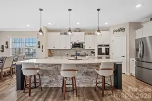 263 Hamptons Cove Rd, Troutman, NC 28166 - Photo 3