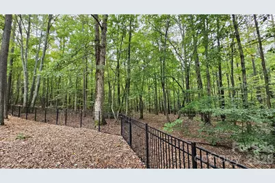 4587 Sawgrass Court, Denver, NC 28037 - Photo 11