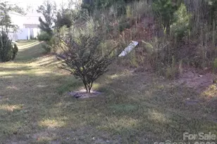 214 Wildflower Dr, Locust, NC 28097 - Photo 3