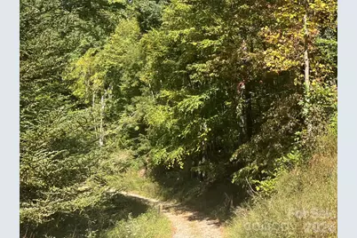 00 Gibson Branch Road #7, Clyde, NC 28721 - Photo 1