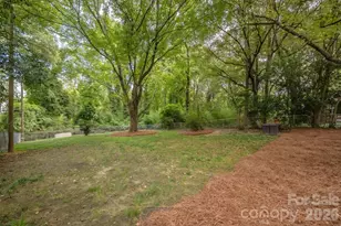 4805 Murrayhill Rd, Charlotte, NC 28209 - Photo 43