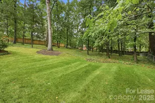 926 Shady Bluff Dr, Charlotte, NC 28211 - Photo 31