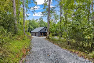 2718 Cove Rd, Rutherfordton, NC 28139 - Photo 3