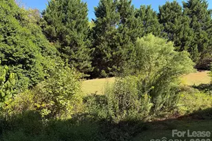 11001 Running Ridge Rd., Charlotte, NC 28226 - Photo 21