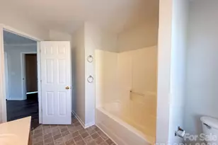 10523 Trolley Run Dr, Cornelius, NC 28031 - Photo 13