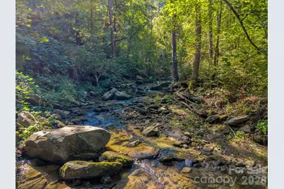 127 Cattail Road, Lake Lure, NC 28746 - Photo 13